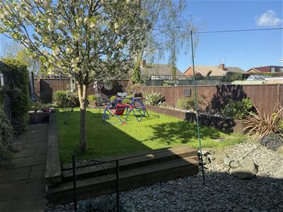 Picture 15